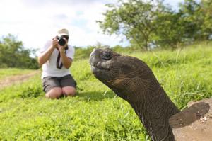 Ecuador | Galapagos - Höhepunkte Ecuadors und Inselhüpfen auf Galapagos